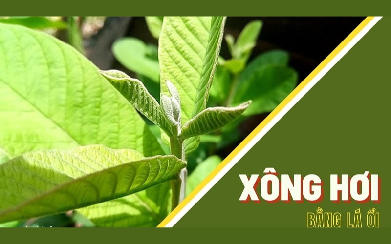 xong-la-oi