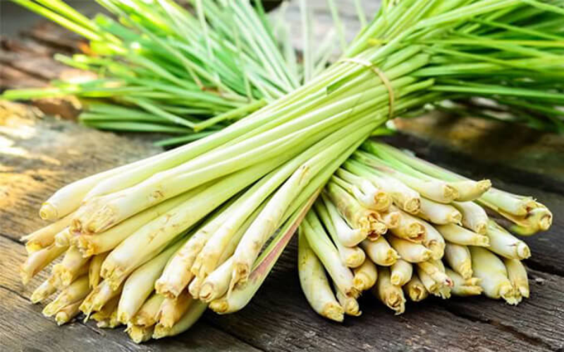 xong-sa