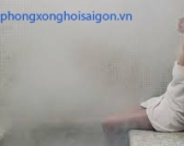 CÁC LOẠI LÁ XÔNG HƠI RẤT TỐT CHO SỨC KHỎE, DỄ TÌM CÓ NGAY TẠI NHÀ