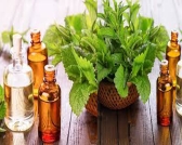 NHỮNG LOẠI THẢO DƯỢC DÙNG TRONG PHÒNG XÔNG HƠI