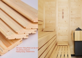 GIÁ GỖ THÔNG LÀM PHÒNG XÔNG HƠI, GỖ THÔNG NHẬP KHẨU TỪ MỸ, PHẦN LAN