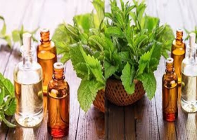 NHỮNG LOẠI THẢO DƯỢC DÙNG TRONG PHÒNG XÔNG HƠI